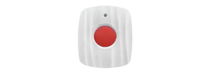 Détecteur de fumée télésurveillé
